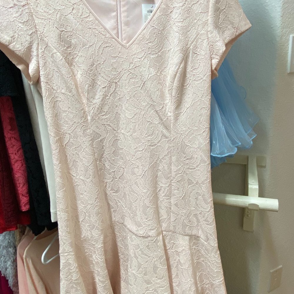 Club Monaco dress